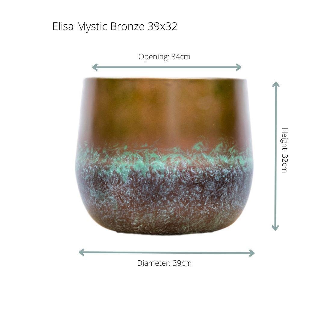 Livraison plante Elisa Bronze Mystique 39 cm