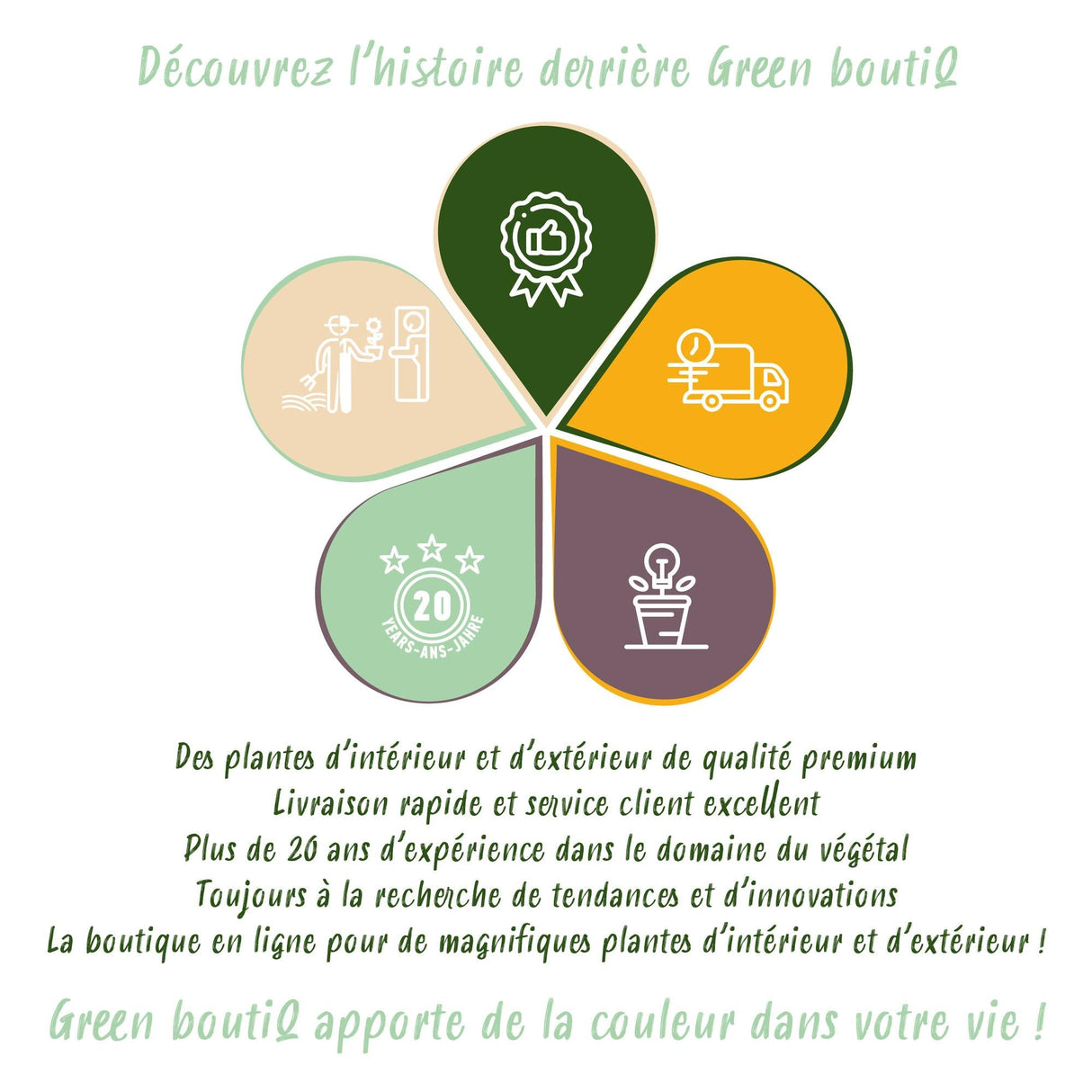 Livraison plante Zamioculcas - Lot de 2 - Pot 17 cm - Hauteur 65 - 75 cm