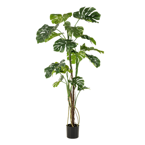 Künstliche Monstera, H180cm