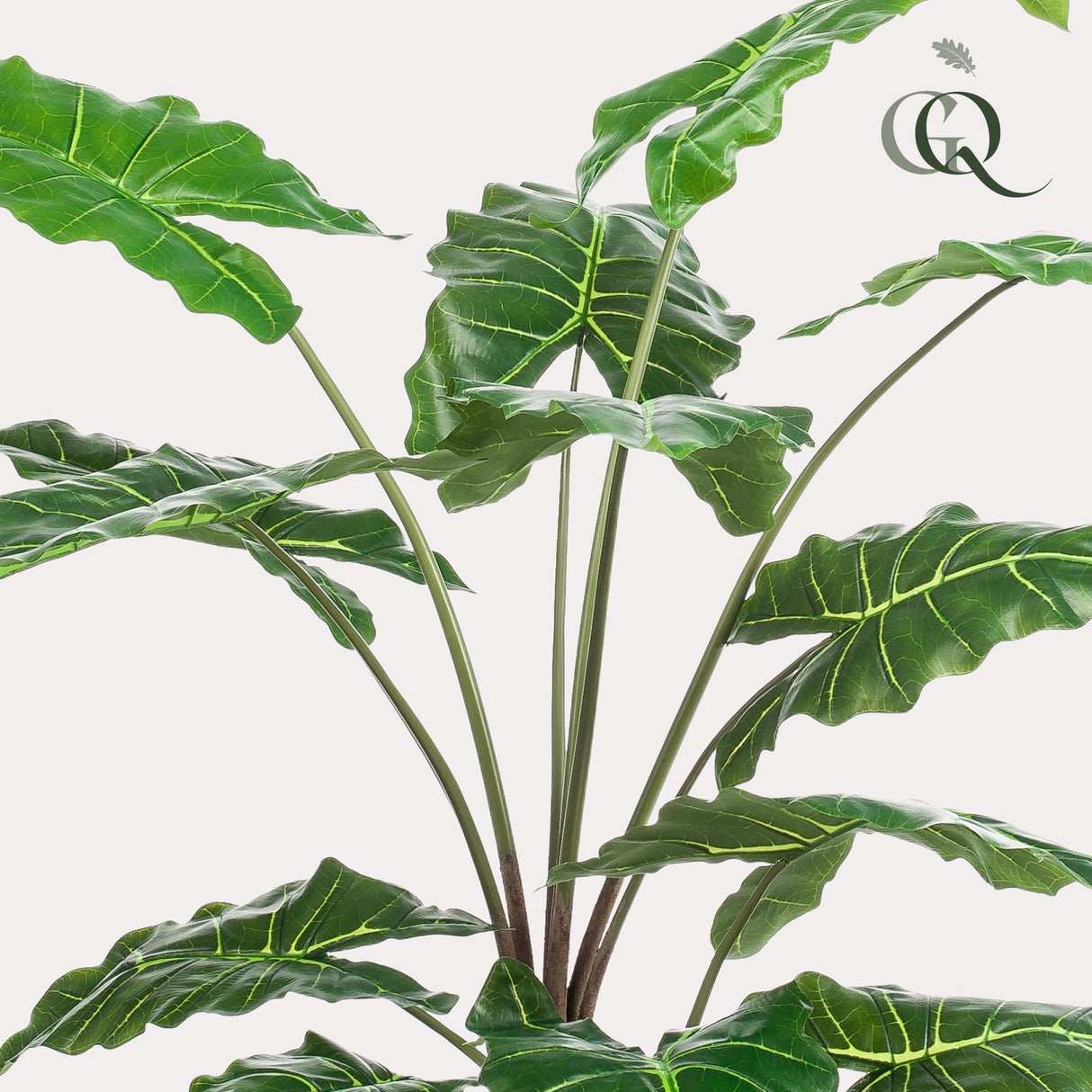 Livraison plante Alocasia plante artificielle - h150cm, Ø12cm