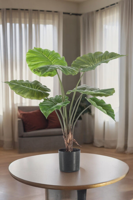 Livraison plante Alocasia plante artificielle - h70cm, Ø12cm