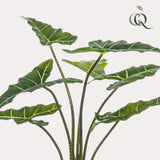 Livraison plante Alocasia plante artificielle - h90cm, Ø14cm