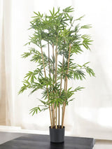 Livraison plante Bambou Japonais - Bambou artificiel