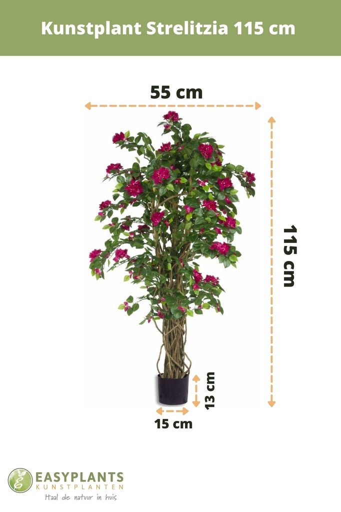 Livraison plante Bougainvillier Liane Fuschia - Arbre artificiel