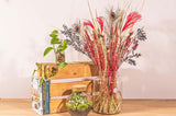Livraison plante Bouquet de fleurs séchées rouge et doré Noël et son vase