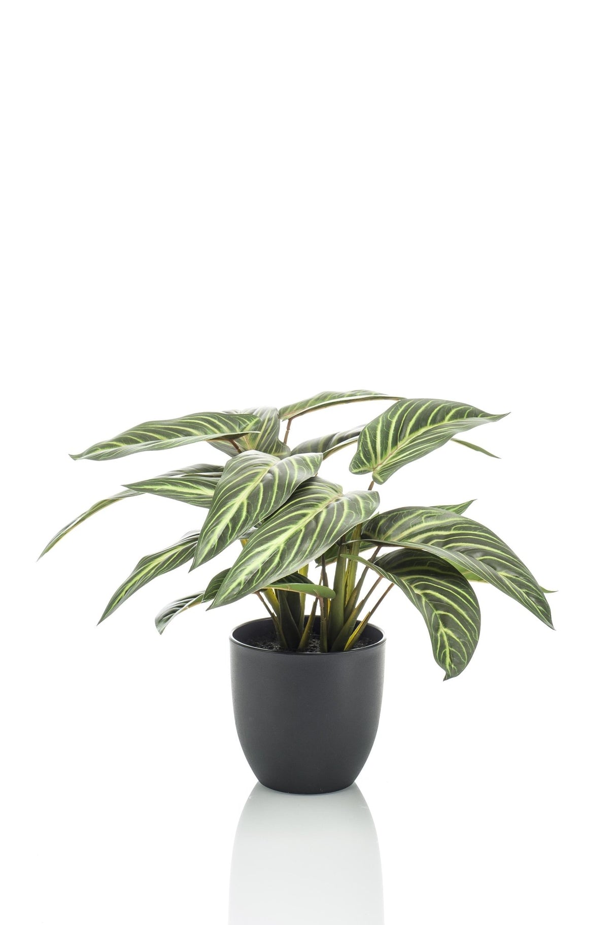 Livraison plante Calathea Zebrina plante artificielle - h38cm, Ø15cm
