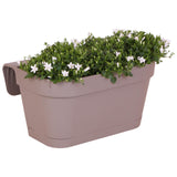 Livraison plante Campanula Addenda blanche - Balkonbak taupe - 3 pots inclus