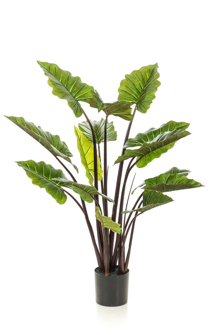 Livraison plante Colocasia Pink China plante artificielle - h130cm, Ø15cm