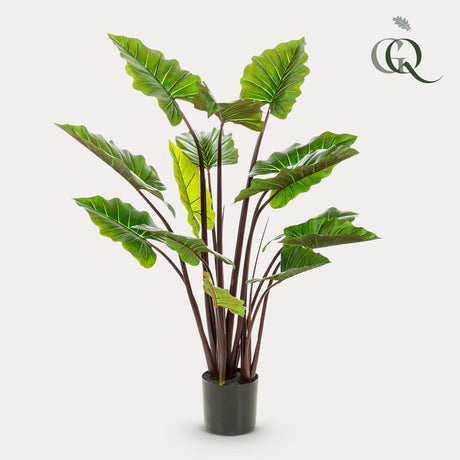 Livraison plante Colocasia Pink China plante artificielle - h130cm, Ø15cm