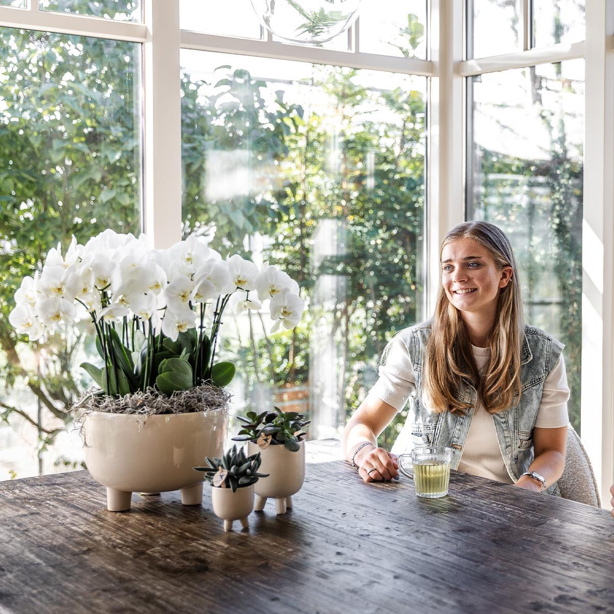 Livraison plante Coupelle Gummy avec 3 orchidées blanches et réservoir d'eau