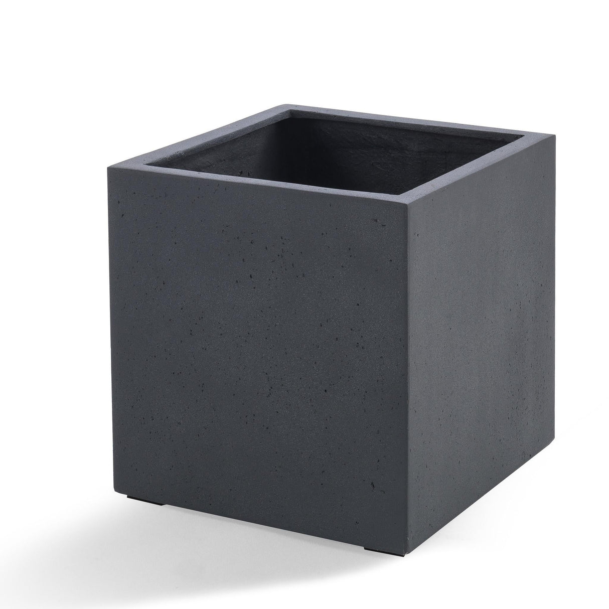 Livraison plante Cube Grigio Antraciet 50 cm