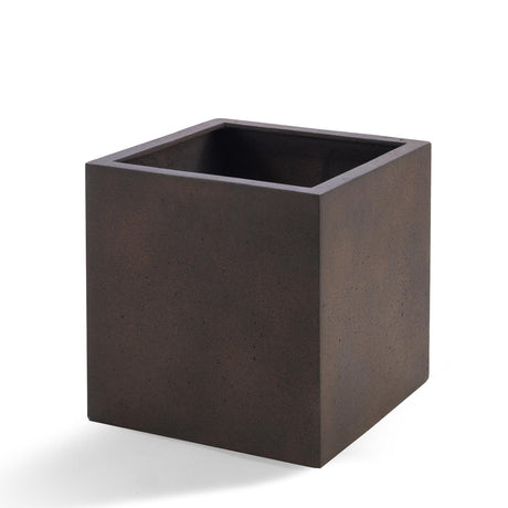 Livraison plante Cube Grigio Fer Rouillé 40cm