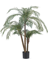 Livraison plante Cycas - Palmier artificiel