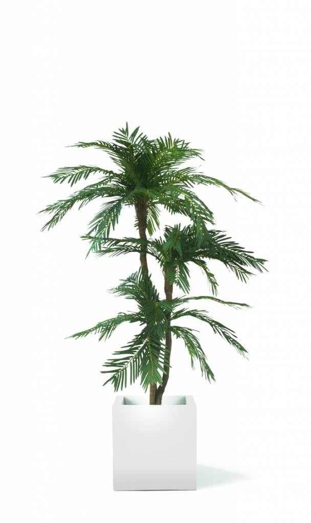 Livraison plante Cycas - Palmier artificiel