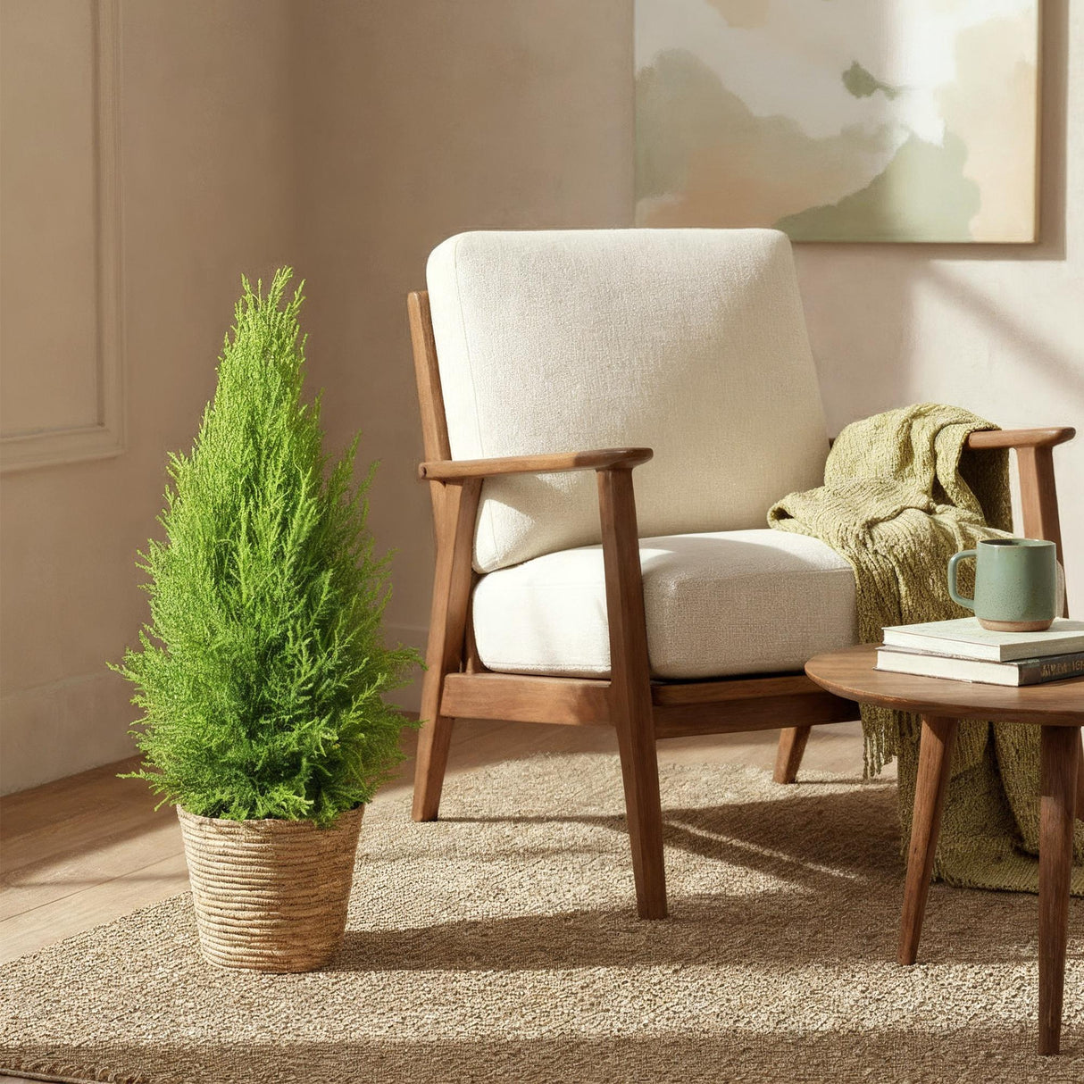 Livraison plante Cyprès d'intérieur Gold Crest Wilma