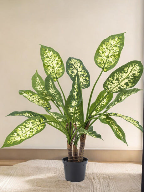 Livraison plante Dieffenbachia - Plante verte artificielle