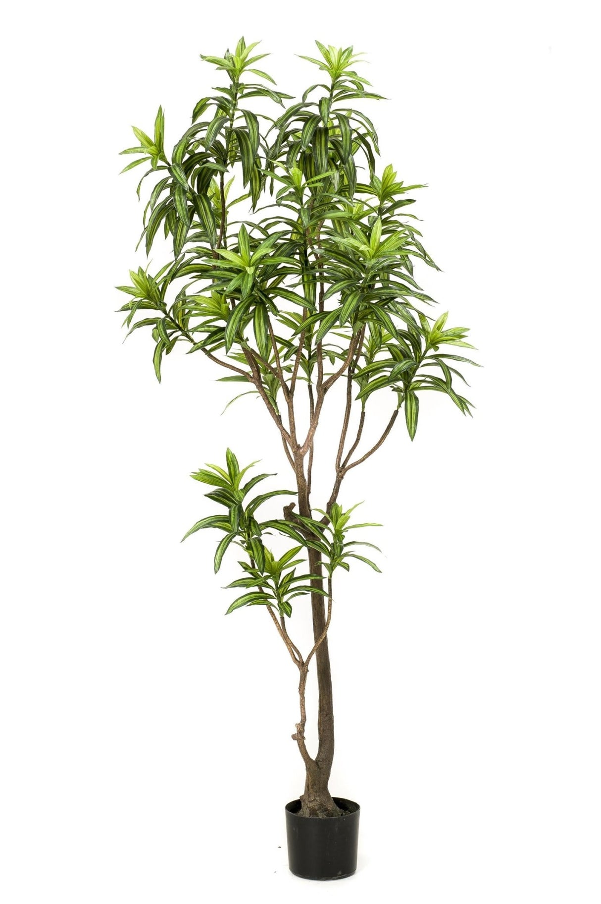 Livraison plante Dracaena plante artificielle - h190cm, Ø17cm