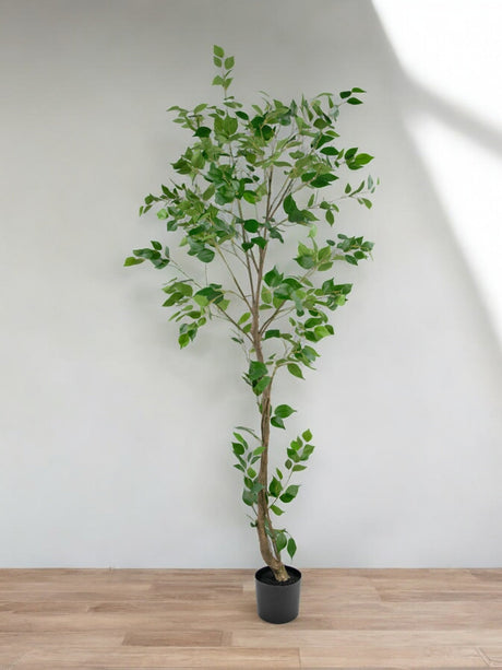 Livraison plante Ficus artificiel