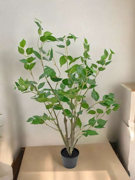 Livraison plante Ficus - grande plante artificielle