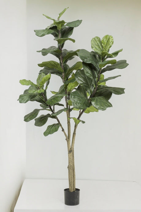 Livraison plante Ficus Lyrata plante artificielle h180cm, Ø17cm