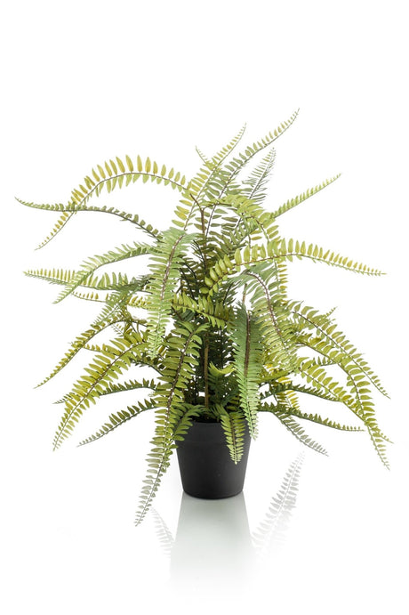 Livraison plante Fougère de Boston plante artificielle - h70cm, Ø15cm