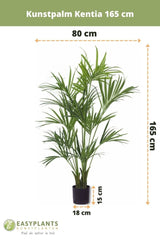 Livraison plante Kentia - Palmier artificiel