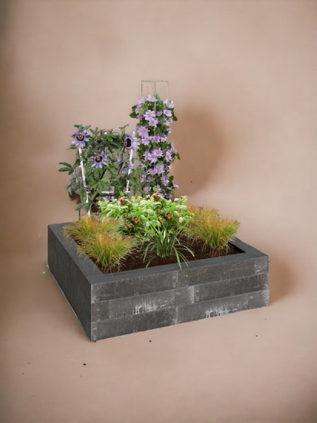 Livraison plante Kit DIY bac rustique 1m2