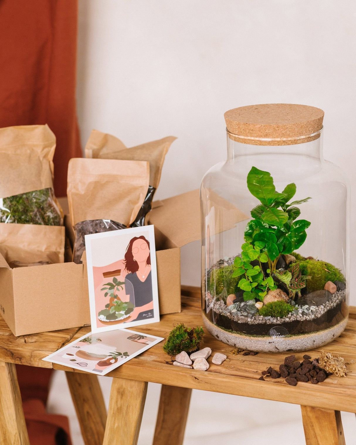 Livraison plante Kit Terrarium DIY - CORTICA