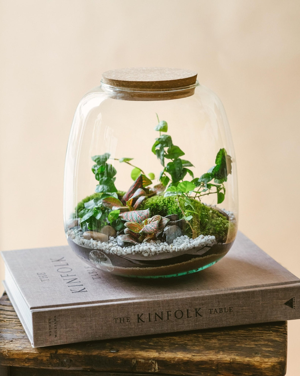 Livraison plante Kit Terrarium DIY - MINI CAYENNE