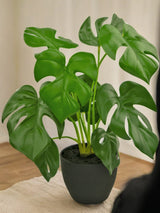 Livraison plante Monstera - Plante verte artificielle