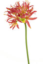 Livraison plante Nerine artificielle fuschia