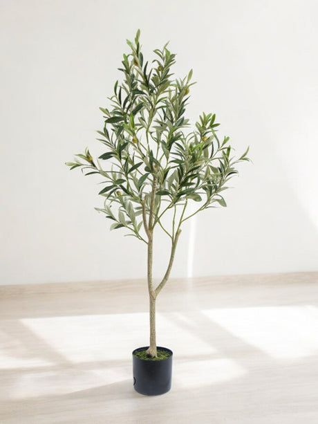 Livraison plante Olivier - Arbre artificiel