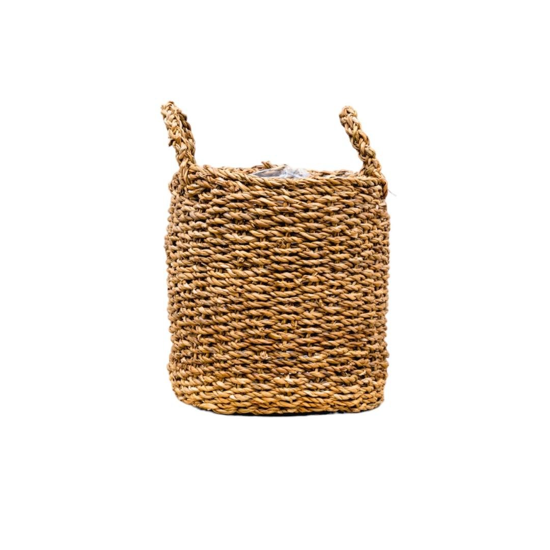 Livraison plante Panier Jack - 26x23