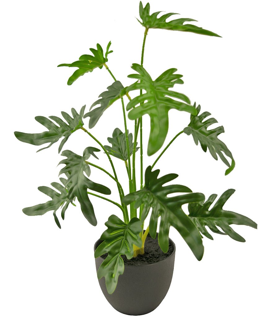 Livraison plante Philodendron xanadu - Plante verte artificielle