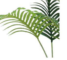 Livraison plante Phoenix - Palmier artificiel