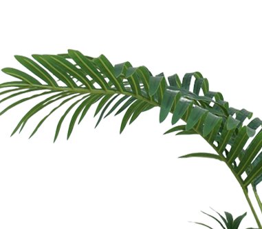 Livraison plante Phoenix - Palmier artificiel