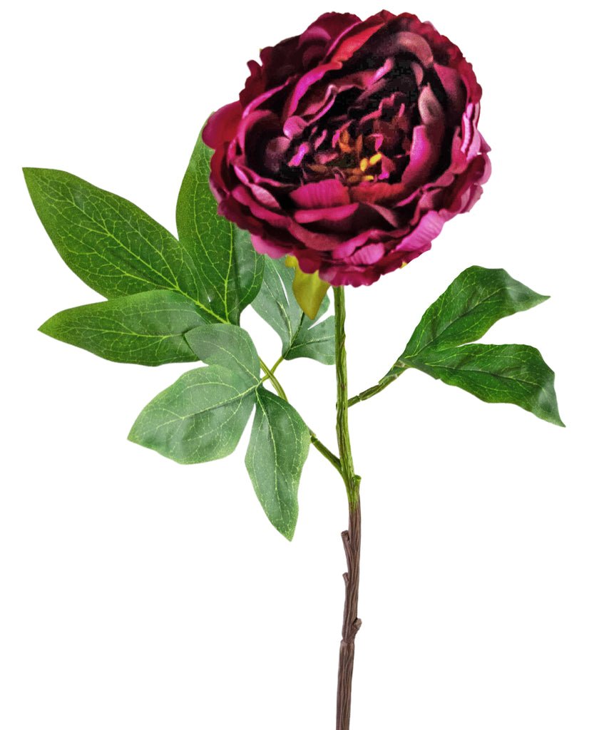 Livraison plante Pivoine artificielle aubergine