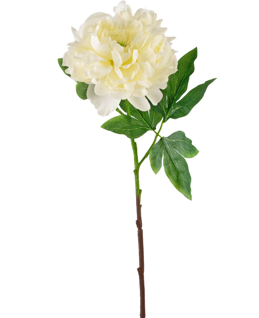 Livraison plante Pivoine artificielle blanche