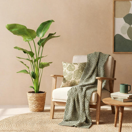 Livraison plante Strelitzia nicolai et panier H115cm