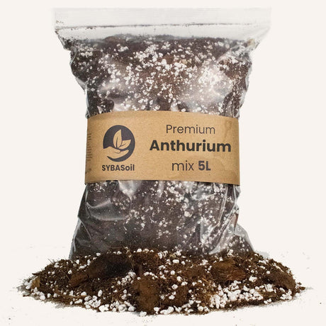Livraison plante Terreau Anthurium - 5L