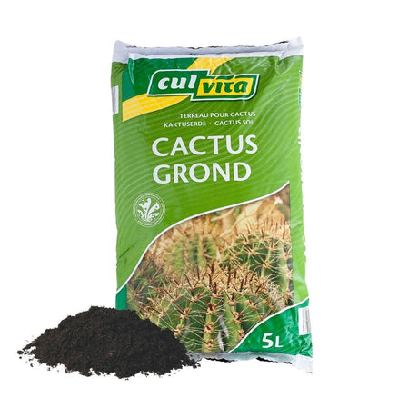 Livraison plante Terreau pour cactus - 5L