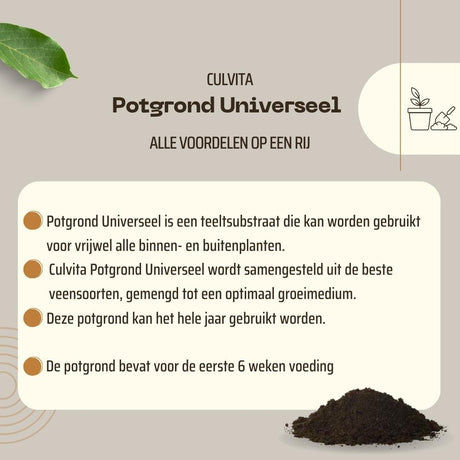 Livraison plante Terreau universel - 40L