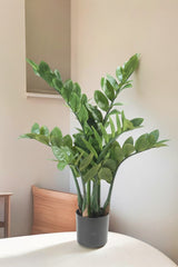 Livraison plante Zamioculcas plante artificielle - h70cm, Ø12cm