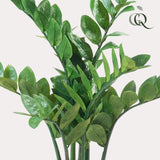 Livraison plante Zamioculcas plante artificielle - h70cm, Ø12cm
