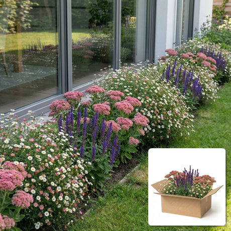 Pack jardin - composition prête à planter