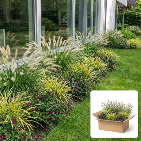 Pack jardin - composition prête à planter