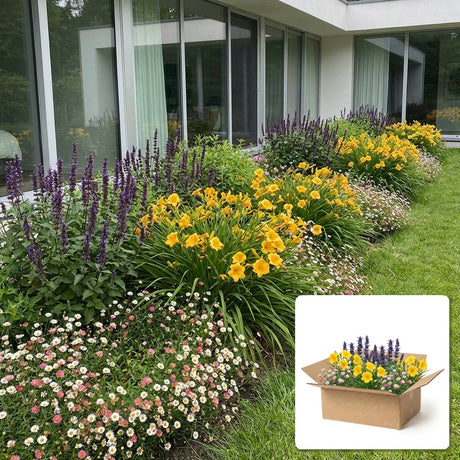 Pack jardin - composition prête à planter