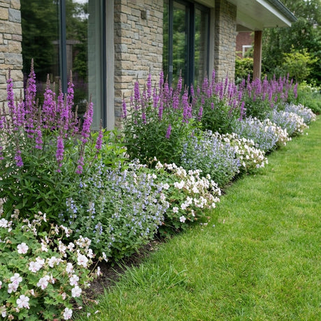 Pack Façade Plein Soleil Rose & Blanc - 18 plantes — photo 2