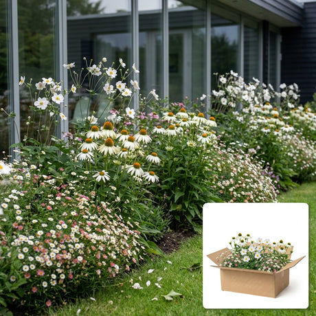 Pack jardin - composition prête à planter