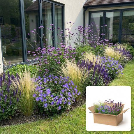 Pack jardin - composition prête à planter